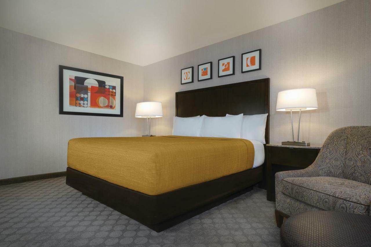 West Tower King Dog Friendly Room