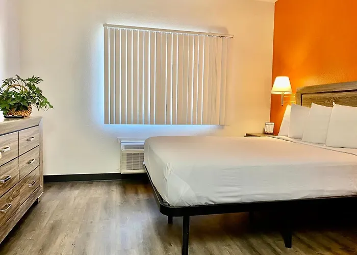 Self catering: Siegel Select Flamingo