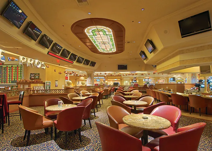 Suncoast And Casino