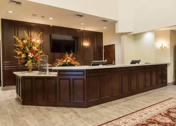 Cheap hotel: Skyline Hotel And Casino